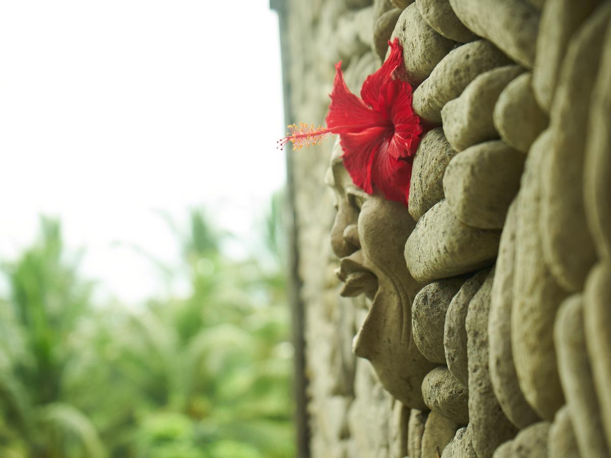 Eden House Ubud Екстериор снимка